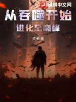 天蚕土豆的小说