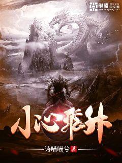 王妃战略