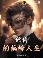 流氓高手ii