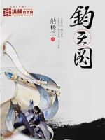 天羽之巅